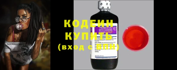 бошки Няндома